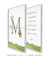 Quadro Decorativo Conjunto Mateo - loja online
