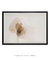 Quadro Decorativo Flor - comprar online