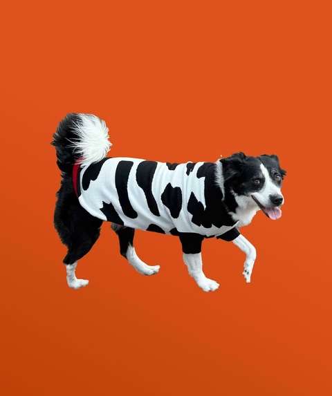 Doggo Not A Cow