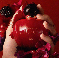 Decant Hypnotic Posion – Dior – Eau de Toilette - comprar online