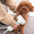 CEPILLO SECADOR 2 EN 1 PARA MASCOTAS + MÁQUINA DE PELO DE REGALO - comprar online