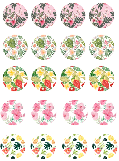 TRANSFER - 338 - comprar online