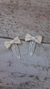 HEBILLAS BEBA - tienda online