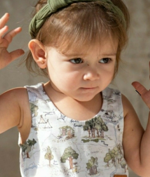 VINCHA DELFI