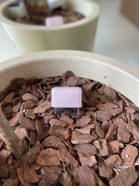 Carimbo Couro Rosa Bebê - buy online