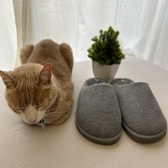 Pantuflas con piel en internet