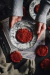Ebook Cookies & Cookies vol 1 + VIDEOS