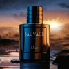 Sauvage Elixir (Inspiración)