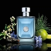 Versace Pour Homme (Inpiración)