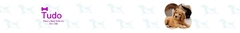 Banner da categoria Adestramento