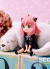 [ESTOQUE] ANYA FORGER - BOND FORGER - PREMIUM CHOKONOSE - SEGA - SPY × FAMILY - Sacred Toy Colecionáveis LTDA