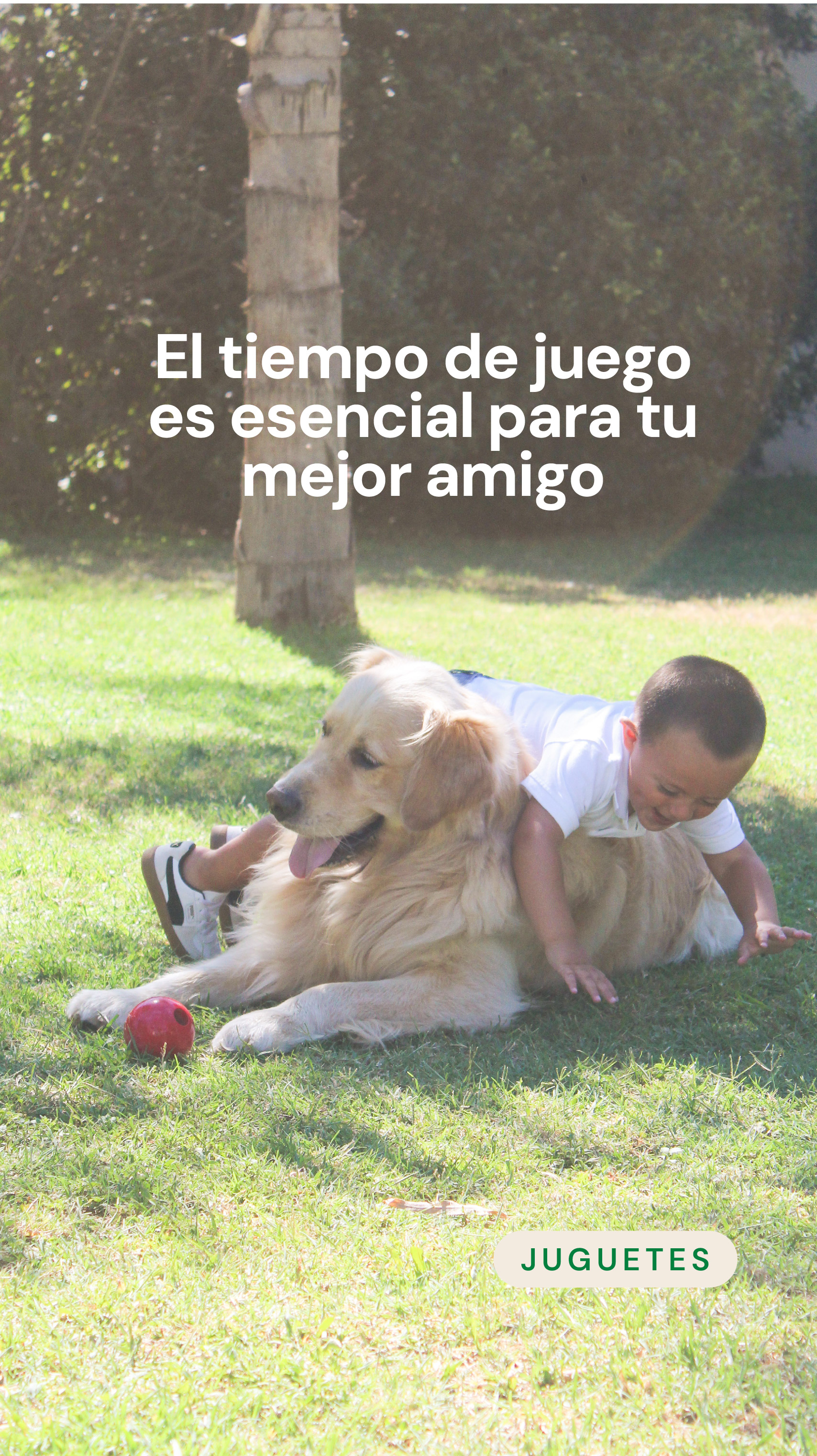 Carrusel 3