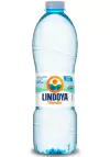 Água Lindoya Verão 510ml Sem Gás C/12