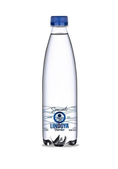 Água Lindoya Verão Speciali 500ml Sem Gás C/12