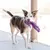 Kong Wubba Snugga - P e G - Roxo - The Pet Box