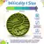 Comedouro Lento Para Cães SodaPup Yin Yang - Verde e Laranja - loja online