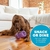 Dispenser de Ração/Petiscos - Double Snoop - Outward Hound - comprar online