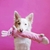 Brinquedo Para Cães Jigglerz® Pelúcia Sem Enchimento Com Apitos - Coelho - Zippy Paws - comprar online
