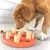 Tabuleiro Para Cães Nina Ottosson Dog Smart Composite - Nível 1 - comprar online