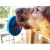 Mini Tapete de Lamber Com Ventosa SodaPup Turtle Emat - Tartaruga - comprar online