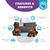 Tabuleiro Interativo Para Cães Paw N' Play Dog Nível 2 - Outward Hound - loja online