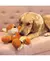 Pelúcia Para Cães Com Interior de Cordas Kong Wild Knots Fox - P na internet