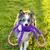 Brinquedo Para Cães Cabo de Guerra Ropetugz Zippy Paws - Macaco - comprar online