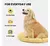 Tapete Gelado Para Cães e Gatos Vetreska Grapefruit Cooling Mat - Médio e Grande - The Pet Box