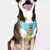 Conjunto Peitoral Air + Guia Para Cães - Scooby Doo - FreeFaro - comprar online