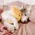 Brinquedo Interativo Pelúcia Zippy Burrow To the Moon - ZippyPaws na internet