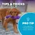 Brinquedo Interativo Para Cães Twistiez Unicorn Outward Hound - G - comprar online