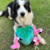 Brinquedo Interativo Pelúcia Zippy Burrow Flamingos in Monstera- ZippyPaws - comprar online