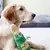 Brinquedo Para Cães Com Garrafa Plástica interna - Zippy Paws Happy Hour Crusherz - Champanhe na internet