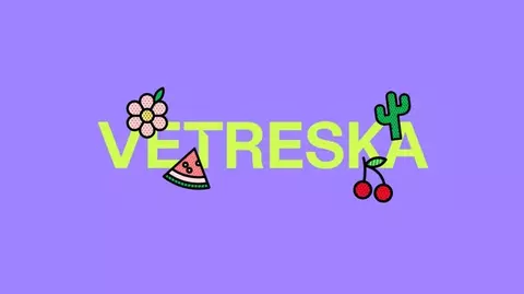 Marca 5 de The Pet Box