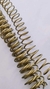 Espiral 2:1 - 20 mm. - tienda en línea