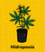Banner de Dogor GrowShop