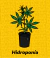 Banner de Dogor GrowShop