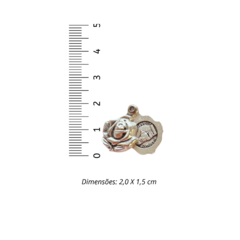 Rosa São Miguel (2,0 x 1,5cm) na internet