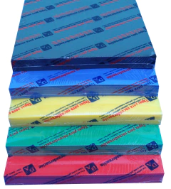 Tapas para encuadernación P.P. Carta 400 mic x50u - comprar online