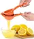 Exprimidor Frutas Acero en internet