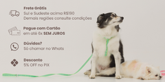 Banner for category Dogs