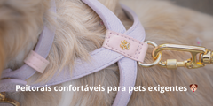 Banner da categoria Peitorais