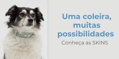 Banner de la categoría Skins