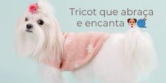 Banner de la categoría Ropa