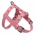 Prince - Leather Dog Harness on internet