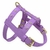Prince - Leather Dog Harness - buy online