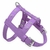 Prince - Leather Dog Harness on internet