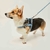 Prince - Leather Dog Harness - Âme Acessórios Pet