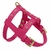 Prince - Leather Dog Harness - buy online