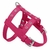 Prince - Leather Dog Harness on internet